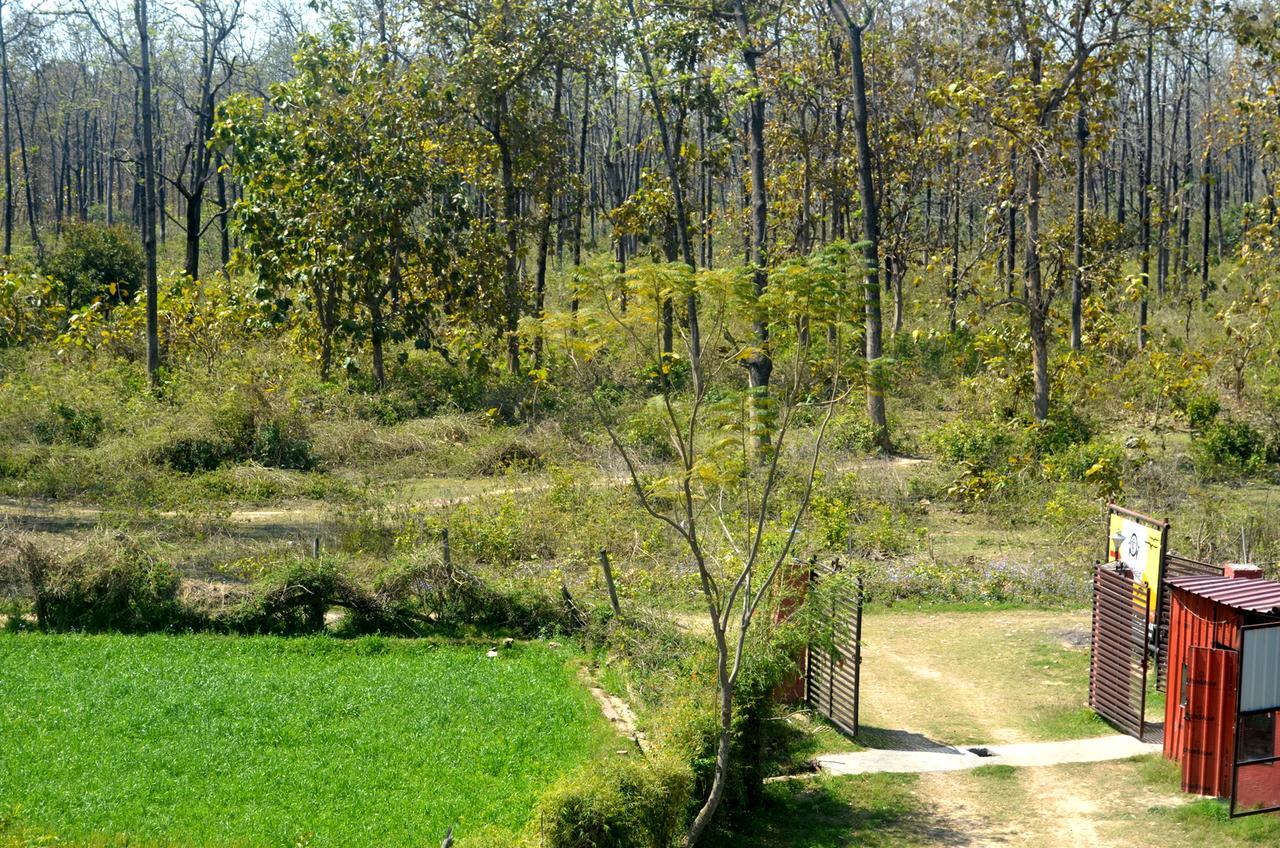 Corbett Treat Resort Rāmnagar Exterior foto